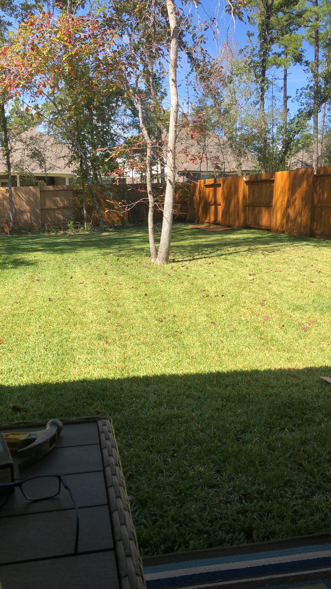 111 Dorado Sky Court, Willis, Texas image 5